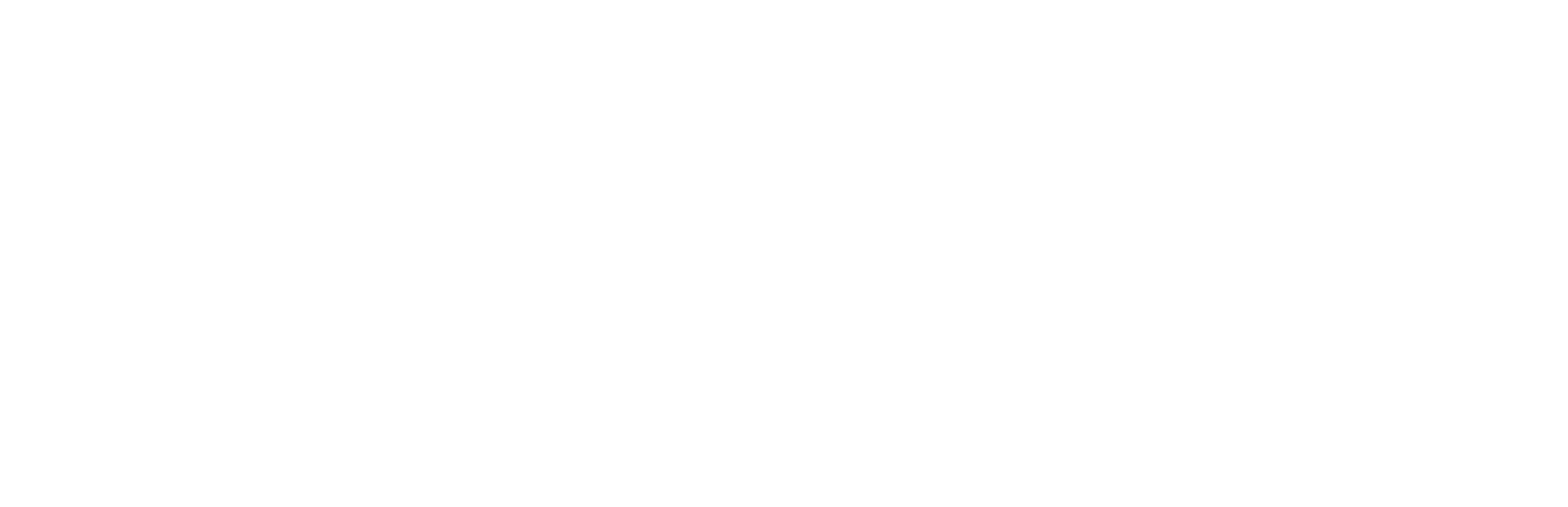 Seguros Vita